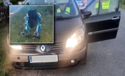 policja ujawnia szczegóły Tragedia pod Radziejowem! Nie żyje 94-latka na wózku inwalidzkim