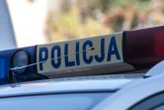 Niespodziewany finał Pies wbiegł pod samochód. Kierowcy grozi 5 lat więzienia