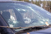 Egzekucja na ulicy Koszmar w Connecticut. Młoda matka i niemowlę nie żyją, bo ktoś ostrzelał ich auto