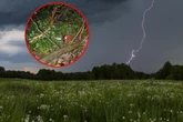 Nawałnice nad Polską Tragedia po burzy w Lubelskiem. Gałąź spadła na głowę mężczyzny