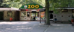 Zoo w Poznaniu znów w żałobie Ujawniono przyczynę śmierci młodej żyrafy Vespy. Przeżyła zaledwie kilka dni
