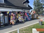 Szok! Zakupy nad morzem: 150 zł za kapibarę to przesada