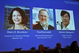 Myślał, że to grizzly, a to był Nobel Nie było kontaktu ze słynnym noblistą! "Uciekł od cywilizacji"