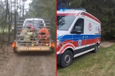 Trudno dostępny teren Nieśli ją na noszach przez 0,5 kilometra, później wieźli na przyczepce! Dramatyczny …