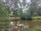 zdjęcia Zabytkowy park odzyskał blask! Kiedyś był majątkiem dworskim, teraz cieszy mieszkańc…