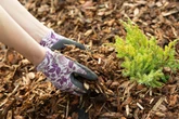 Fala upałów Naturalna klimatyzacja dla roślin ogrodowych na mordercze upały. Japońska metoda na magazyn wilgoci dla krzewów i sadzonek. Jak dbać o ogród w czasie upałów?