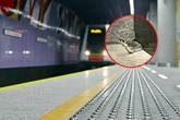 Szok! Sensacja w metrze! Długi gad próbował podróżować komunikacją miejską. Niezwykłe zdar…