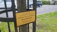 zapraszamy na spacer Aleja Dębowa w Bydgoszczy, czyli żywa historia wśród zieleni