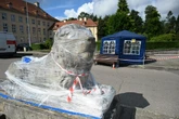 O co chodzi? Jednego owinęli folią, a drugiego schowali w namiocie. Co się dzieje zabytkowymi lwa…