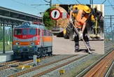Wielki powrót pociągów? Od 20 lat nikt nie odjechał z tego przystanku. Będzie remont