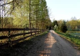Magiczne miejsce na końcu Polski Kraina jak z Tolkiena. Ten zakątek Podlasia wygląda jak polskie Śródziemie