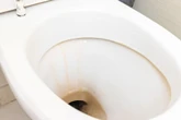 Czysty dom Wrzucam do muszli klozetowej i przestaję się tym przejmować. Rano toaleta jest czysta. Brzydkie zapachy są wspomnieniem