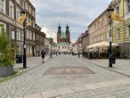 Podróże Masz tak na nazwisko? W lipcu w tym mieście ugoszczą Cię po królewsku