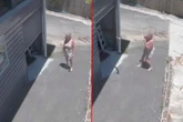 Groza! Poszła do garażu i wyskoczyła na nią bestia! Wideo może przerazić