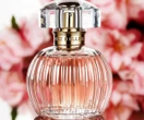 Strefa perfum Najpiekniejsze perfumy na lato zdaniem ekspertki! Te zapachy sprawią, że nie będzies…