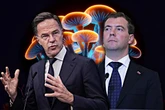 O co chodzi? Szef NATO mówi, jak zacznie się wojna. Rosjanie na to o grzybach halucynogennych!