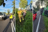 Ogromne zamieszanie! Strażacy pilnowali świń. 170 zwierząt na drodze. Wszystko przez wypadek tira [ZDJĘCI…