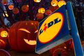 Mega okazje Lidl. Promocje na Halloween