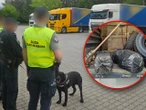 Gigantyczny przemyt Ciężarówka wypchana kokainą. Znaleźli narkotyki o wartości ponad 40 milionów złotych!