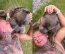 Głośny filmik Internet w szoku po tym, co zrobił Artur Szpilka ze swoim psem. "Czy on się właśnie …