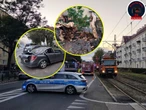 Chwile grozy! Dramat na Żoliborzu. Drzewo runęło na samochody, kobieta z dzieckiem w pułapce