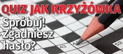 QUIZ jak krzyżówka. Wskaż odpowiedzi i zgadnij hasło. Lekko nie będzie!
