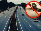 Ważne informacje Planujesz wakacje za granicą? Tutaj starym dieslem już nie wjedziesz!