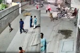 Zobacz wideo Lew rzucił się na dzieci i kobietę pośrodku ulicy! Oto, co stało się potem