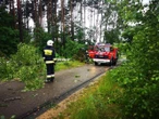 Burze i ulewy w Śląskiem. Połamane drzewa i ulice jak rwące potoki! To dopiero poc...