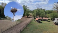 Raj dla bocianów Europejska Wieś Bociania w Pentowie. Unikalne miejsce na Podlasiu