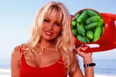 Pikle Pameli hitem Pamela Anderson handluje ogórkami! Wielki sukces gwiazdy