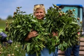 niesamowita historia Brzozie Lubawskie pachnie sukcesem! Tu rosną piwonie, które podbijają świat [ZDJĘCIA]