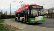 SZOK Lublin: Skandaliczne zachowanie kierowcy trolejbusu. Rozpiął rozporek i stracił pracę