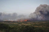 Żywioł bije rekordy Ogromny pożar we Francji! Spłonął obszar większy niż Paryż