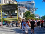 Śmierć zwierzęcia Na promenadzie w Świnoujściu padł koń. Poseł nie miał litości. "Żałosne grosiki"