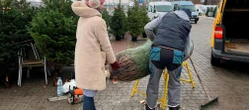 Musisz o tym wiedzieć Co zrobić, aby choinka była w domu jak najdłużej? Większość Polaków zapomina o podst…