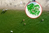 CO O TYM MYŚLICIE? Ludzie nad Bałtykiem robią to mimo zakazów! "Turysty nic nie zatrzyma"