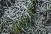 Prognoza IMGW Nadchodzą przymrozki, nawet -3°C w tej części Polski! Nie tylko deszcz, ale i śnieg. Szokujące prognozy