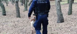 Sprawę bada policja Tajemnicza śmierć w Myślęcinku. Świadkowie mówią o strzałach
