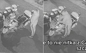 Wszystko się nagrało! Okradł ratowników. "Wstyd i żenada"