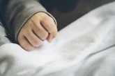 Nowe doniesienia Ojciec ścinał drzewo, konar przygniótł 5-latka! Antoś nie żyje