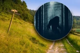 Włochacz nie odpuszcza! Yeti pojawił się w Europie?! Relacja świadka budzi grozę