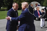 Wiele mówiący gest Tak Trump przywitał Nawrockiego, Zełenskiego i Putina. Jednego z nich szczególnie wyróżnił