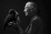 Miała 91 lat Nie żyje słynna badaczka szympansów! Jane Goodall broniła zwierząt do ostatniego oddechu