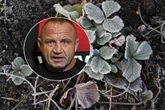 Dramat sadowników "Pudzian" załamany! Przymrozki zniszczyły jego sad