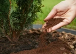 Drzewa w ogrodzie Rozsypuję 10 cm od tui już na początku maja, a drzewka są soczyście zielone przez ca…