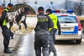 Wielka awantura! Strzały w bloku w Krakowie! 24-letni Ukrainiec i jego pies zaatakowali policjantów