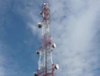 Słoną zapłacą Młodzi ryzykanci wspięli się na maszt telekomunikacyjny. Małpowali filmiki z internetu