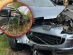 Wypadek Citroen zderzył się z peugeotem pod Zieloną Górą. Dwoje dzieci trafiło do szpitala