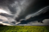 Niszczycielski żywioł zmierza nad Podlasie. Zagrożenie życia i zdrowia. Alerty IMG...